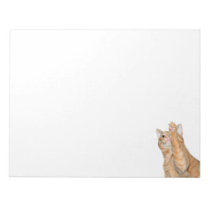 Skämtsam orange tabby katt anteckningsblock
