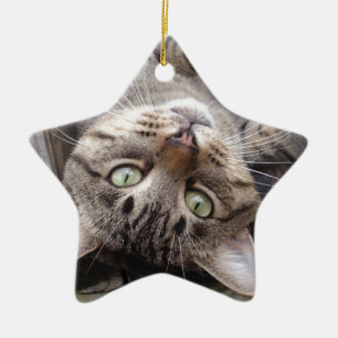 Skämtsam randig vild tabby katt julgransprydnad keramik