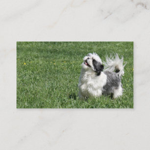Skämtsam Shih Tzu visitkort