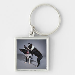Skämtsamma Boston Terriers Fyrkantig Silverfärgad Nyckelring