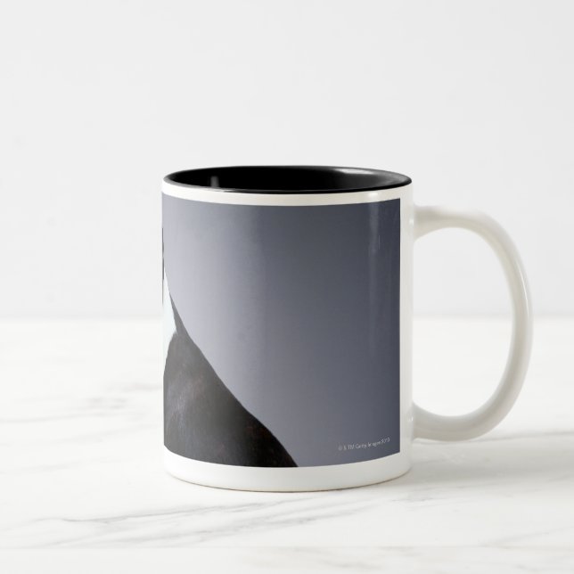 Skämtsamma Boston Terriers Två-Tonad Mugg (Höger)