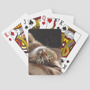 Skämtsamt kattungekortdäck casinokort