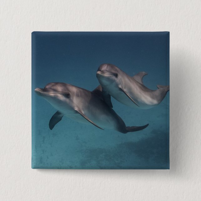 Skämtsamt posera knapp (Framsida)