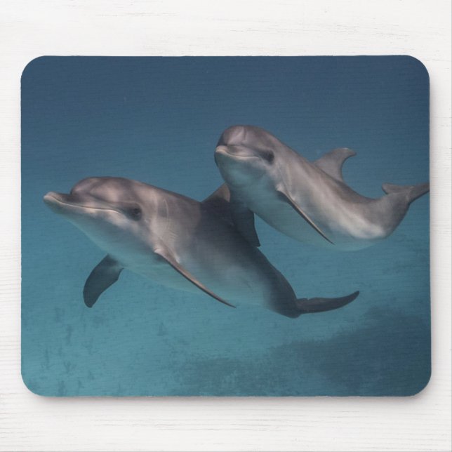 Skämtsamt posera musmatta (Framsidan)