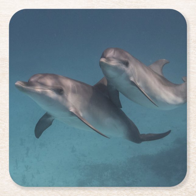 Skämtsamt posera underlägg papper kvadrat (Framsidan)