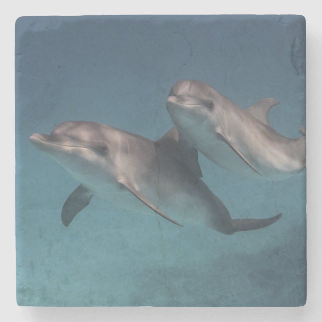 Skämtsamt posera underlägg sten (Framsidan)