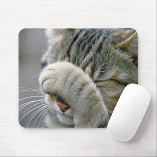 Skämttig tabbykatt musmatta