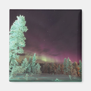 Skandinavien, Finland, Lappland, Kakslauttanen, Magnet