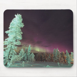 Skandinavien, Finland, Lappland, Kakslauttanen, Musmatta