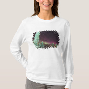 Skandinavien, Finland, Lappland, Kakslauttanen, Tee Shirt