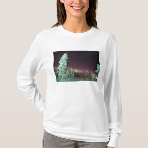 Skandinavien, Finland, Lappland, Kakslauttanen, Tee Shirt