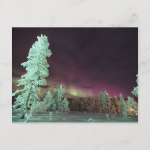 Skandinavien, Finland, Lappland, Kakslauttanen, Vykort