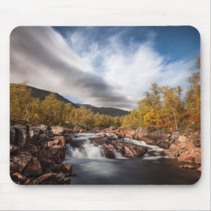 Skandinavien Landskaps Foto Musmatta