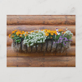 Skåp för blomsterplanterogg vykort