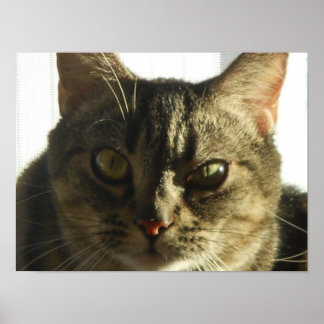 Skapa din egen 16-tums x 12-tums Poster