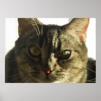 Skapa din egen 28-tums x 20-tums Poster