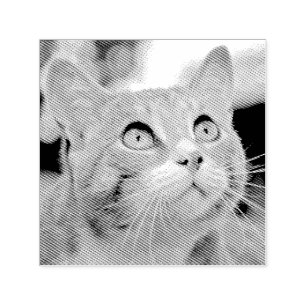 Skapa Din Egen Anpassad Fotostämpel Husdjur Katt B Självfärgande Stämpel