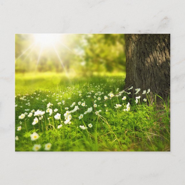 Skapa din egen Anpassningsbar-fotoPersonlig Vykort (Framsida)