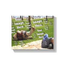 🤍 Skapa din egen Anpassningsbar-mall