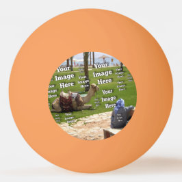 🤍 Skapa din egen Anpassningsbar-mall Pingisboll