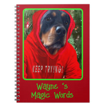 Skapa din egen bärbara Magic Rottweiler