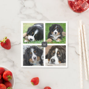 Skapa din egen familjefoto collage med monogram pappersservett