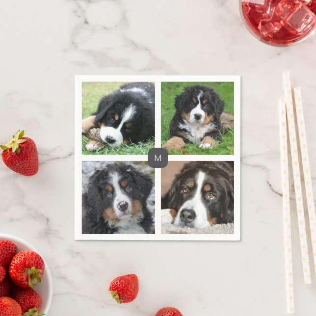 Skapa din egen familjefoto collage med monogram pappersservett (Insitu)