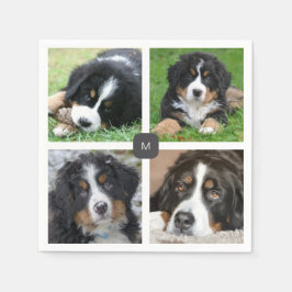 Skapa din egen familjefoto collage med monogram pappersservett