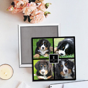Skapa din egen familjs fotokollage monogrammad magnet