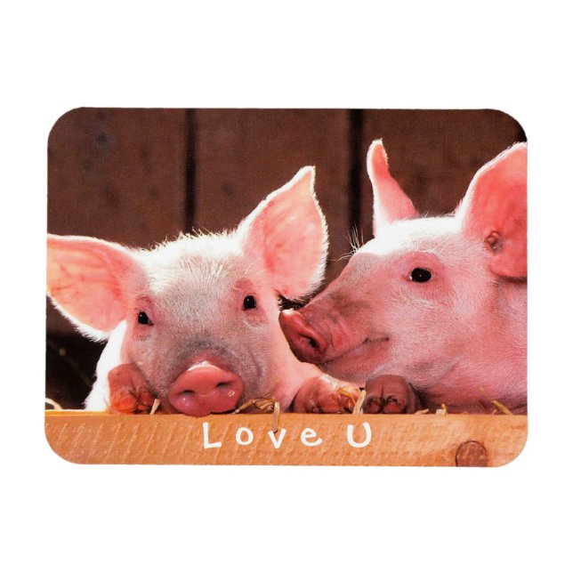 Skapa din egen fantastiska fotot Kärlek din Anpass Magnet (Horisontell)