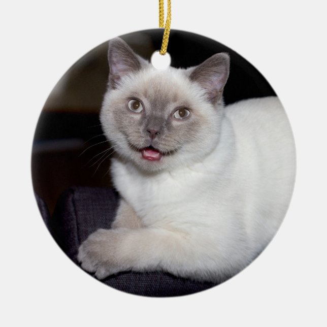 Skapa-Din-Egen-Foto | Julgransprydnad Keramik (Framsidan)