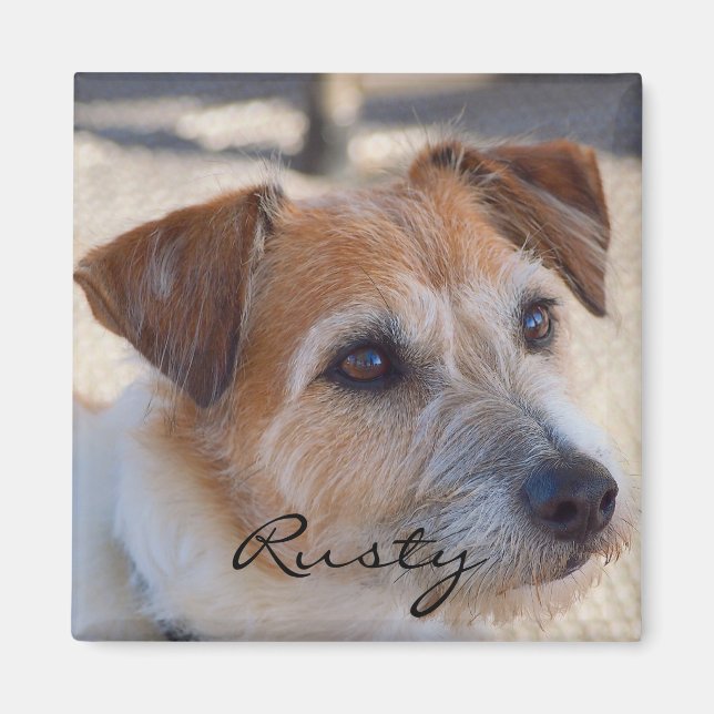 Skapa din egen fotomagnet magnet (Framsidan)