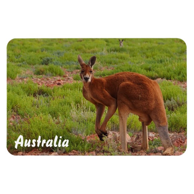 Skapa din egen fotomagnet magnet (Horisontell)