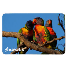 Skapa din egen fotomagnet magnet