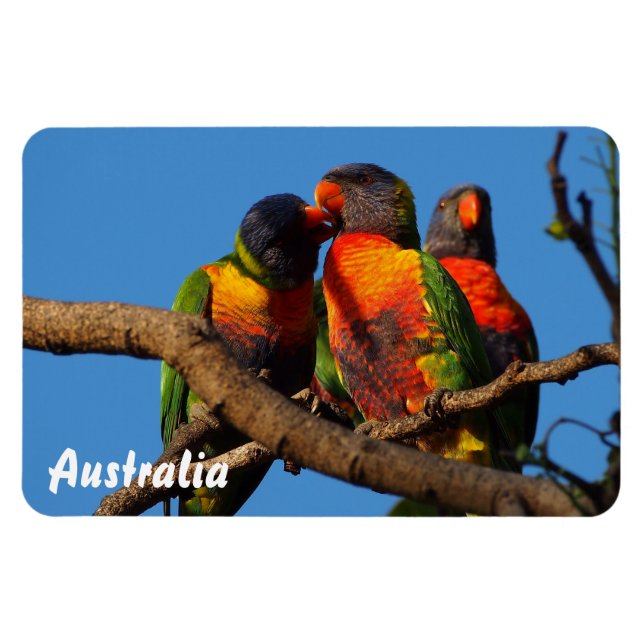 Skapa din egen fotomagnet magnet (Horisontell)