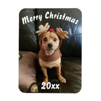 Skapa din egen God jul-magnet Magnet