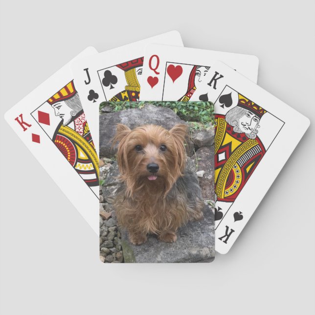 Skapa din egen Hund Photo Anpassningsbar Pet Casinokort (Baksidan)