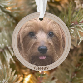 Skapa din egen Hund Photo Anpassningsbar Pet Puppy