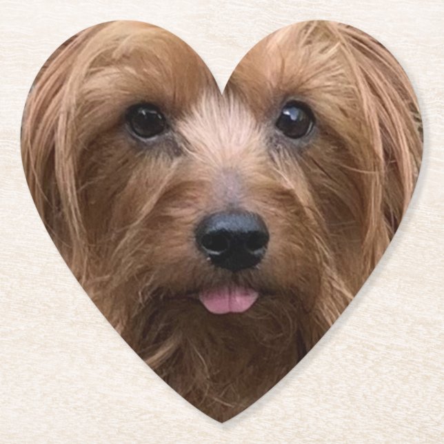 Skapa din egen Hund Photo Anpassningsbar Pet Puppy Underlägg Papper (Framsida)