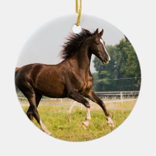 Skapa din egen husdjurs-häst Foto Anpassad bild Julgransprydnad Keramik