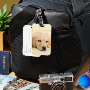 Skapa Din Egen Husdjursfoto Anpassad Bild Bagagebricka