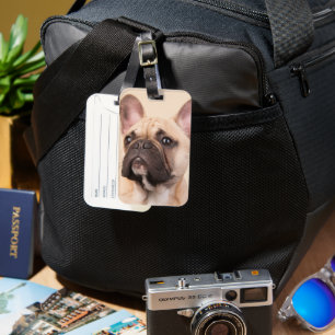Skapa Din Egen Husdjursfoto Anpassad Bild Bagagebricka