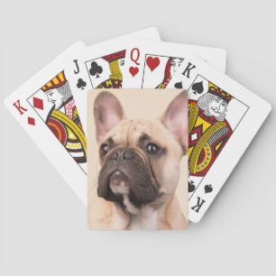 Skapa Din Egen Husdjursfoto Anpassad Bild Casinokort