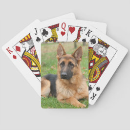 Skapa Din Egen Husdjursfoto Anpassad Bild Casinokort