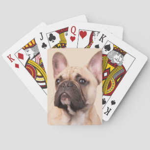 Skapa Din Egen Husdjursfoto Anpassad Bild Casinokort