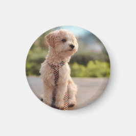 Skapa Din Egen Husdjursfoto Anpassad Bild Magnet