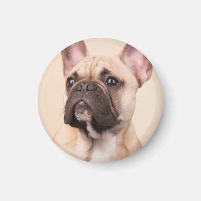 Skapa Din Egen Husdjursfoto Anpassad Bild Magnet (Framsidan)