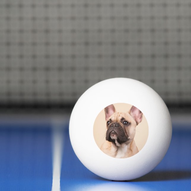 Skapa Din Egen Husdjursfoto Anpassad Bild Pingisboll (Netto)