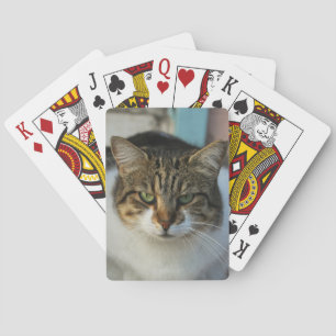 Skapa Din Egen Husdjursfoto Anpassad Bild Present Casinokort