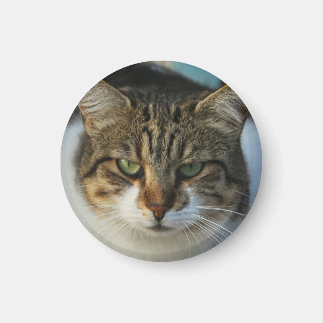 Skapa Din Egen Husdjursfoto Anpassad Bild Present Magnet (Framsidan)